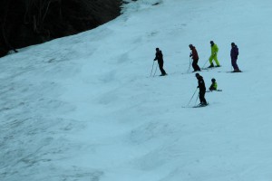 コブチャレンジ