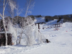 樹氷